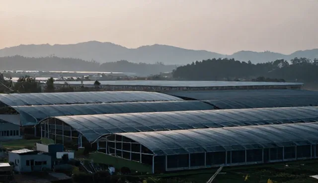 物流方案设计中的性能瓶颈及优化方法